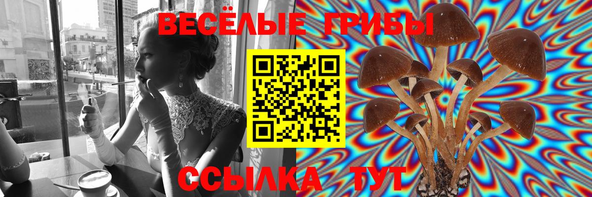 цены   Галлюциногенные грибы Psilocybine cubensis  Вход с VPN  Псилоцибиновые грибы прущие грибы  Всеволожск 